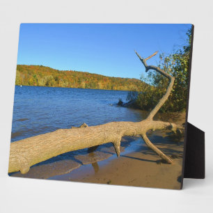 Photo Plaque de bois franc