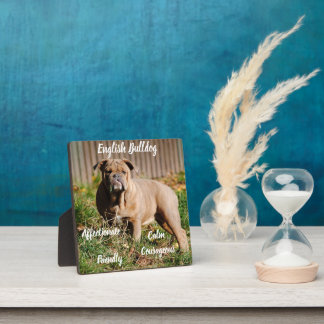 Photo Plaque de Bulldog anglaise avec Easel