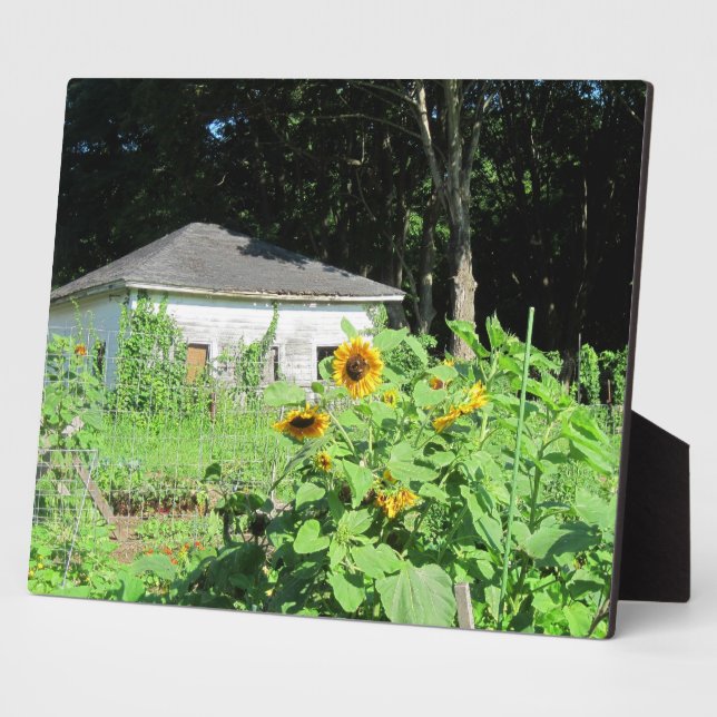 Photo Plaque de jardinage (Côté)