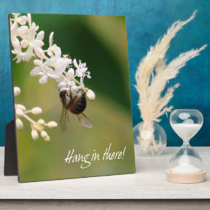 Photo Plaque de motivation "Hang in There"