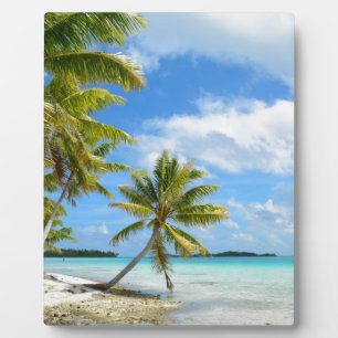 Photo Plaque de plage de palmiers