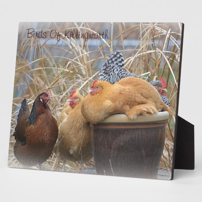 Photo Plaque de poulet (Côté)