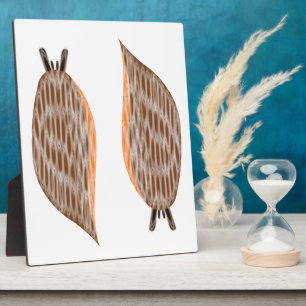 Photo Plaque des limaces