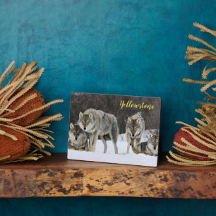 Photo Plaque photo-Yellowstone Wolves Plaque