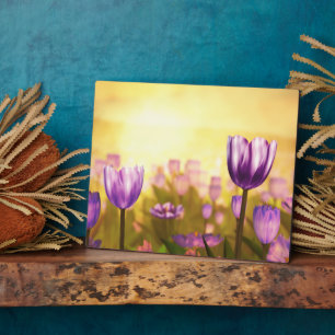 Photo Plaque violette Jubilee
