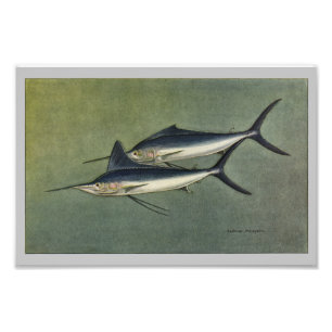 Photo Poisson Vintage Marlin ou Spefish Impression