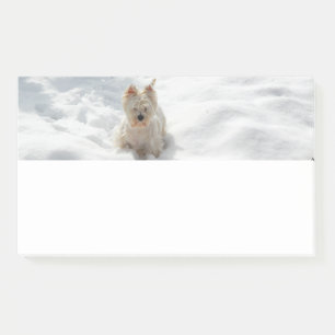 Photo Post-it Photo Pad Photo Chien blanc neigeux