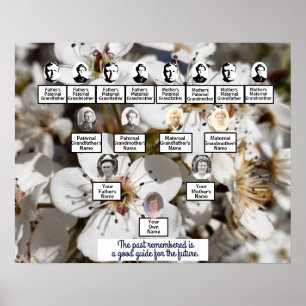 Photo Poster de l'arbre généalogique de la famille