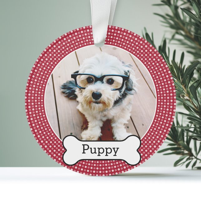Photo pour animaux de compagnie avec os de chien - (Personalized Photo Ornament - Pet Theme)