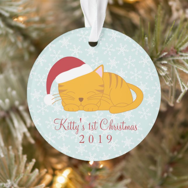 Photo pour animaux de compagnie - chat Tabby Orang (Arbre)
