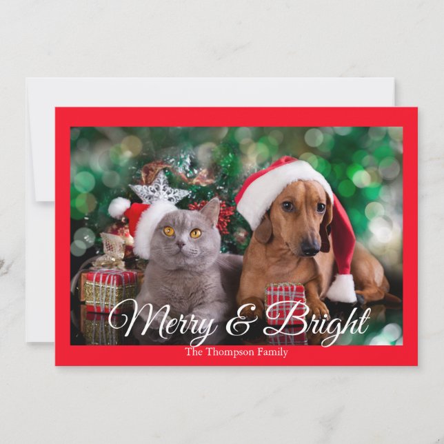 Photo pour animaux de compagnie Joyeux et carte de (Devant)