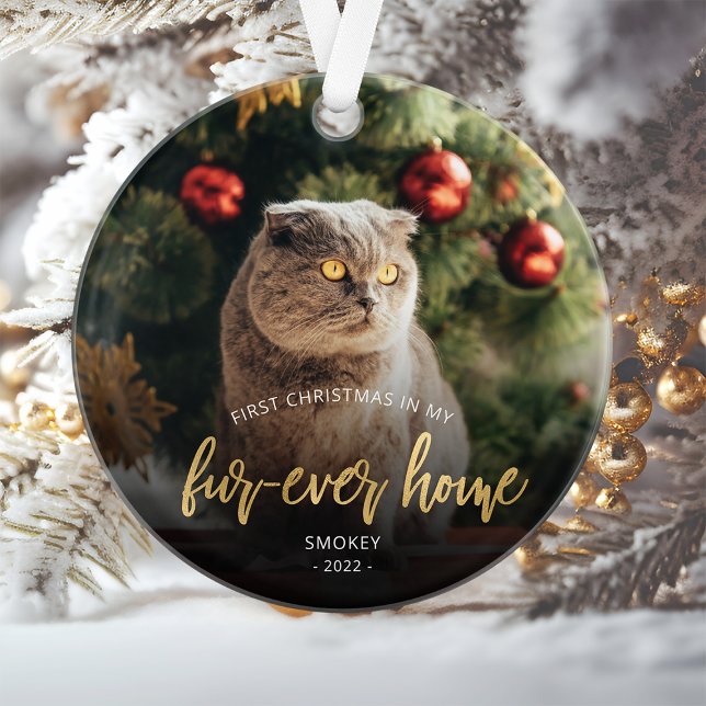 Photo pour animaux First Christmas Forever Home Sc (Créateur téléchargé)