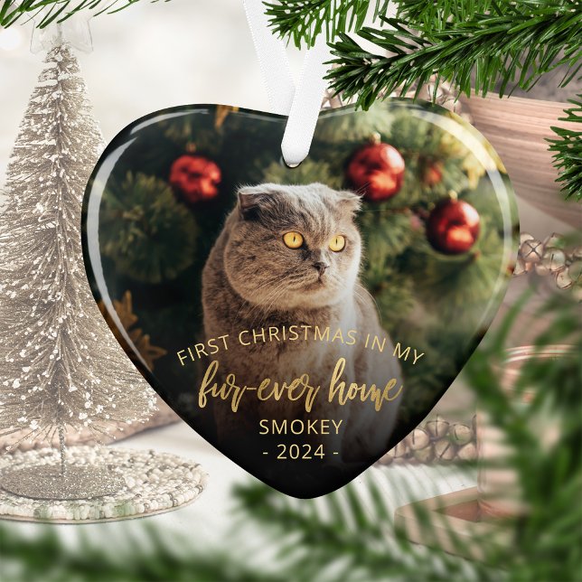 Photo pour animaux First Christmas Forever Home Sc (Créateur téléchargé)
