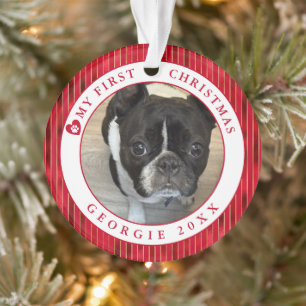 Photo pour animaux Mon premier Noël