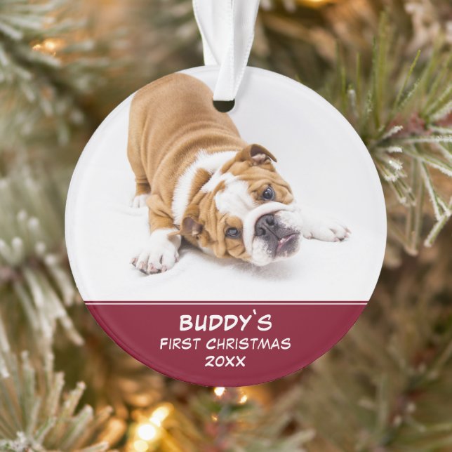 Photo Puppy Christmas Red Pet (Arbre)