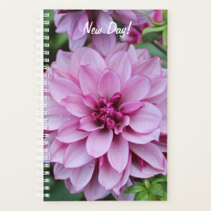 Photo Purple Daliha Bloom