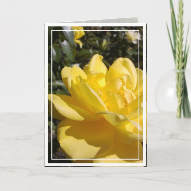Photo rose jaune sur carte blanche (Devant)