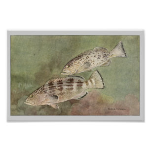 Photo Sac et groupe noir Poisson Vintage Impression