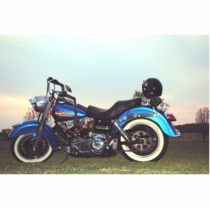 PHOTO SCULPTURE 1978 FLH