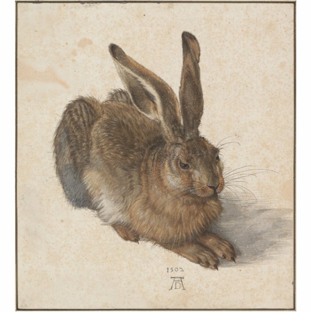 Photo Sculpture Albrecht Dürer - lièvre (Devant)