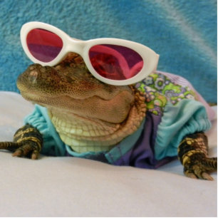 Photo Sculpture Alligator dans la sculpture en lunettes de soleil