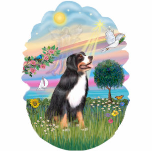 Photo Sculpture Angel Star - Bernese Mountain Dog
