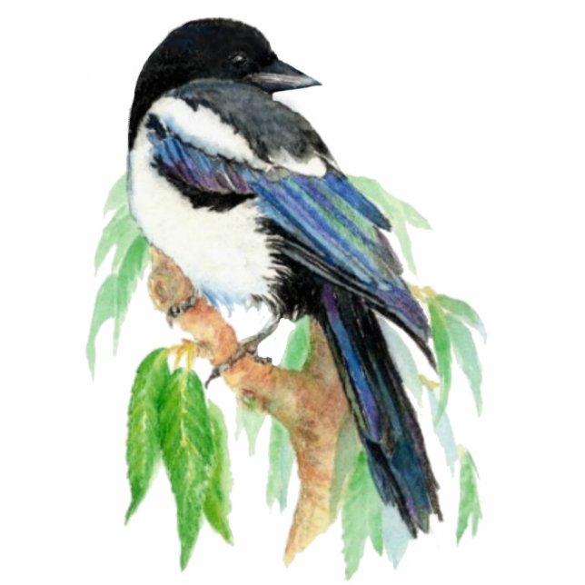 Photo Sculpture Aquarelle Magpie Oiseau Faune, Nature, Ornement (Devant)
