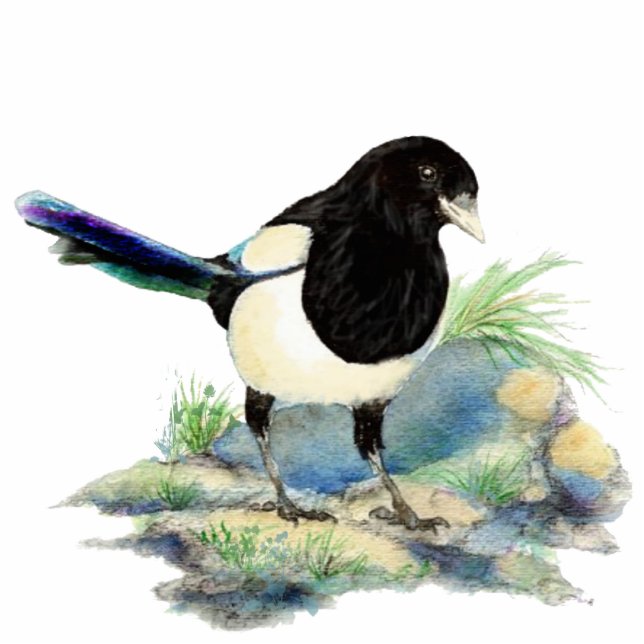 Photo Sculpture Aquarelle Magpie Oiseau Faune, Nature, Ornement (Devant)