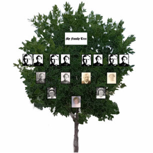 Photo Sculpture Arbre de famille à feuilles vertes stylisées de qu