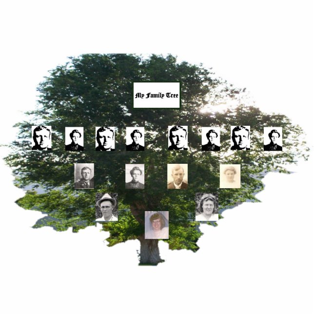Photo Sculpture Arbre de la famille Elm d'été de quatre génération (Devant)