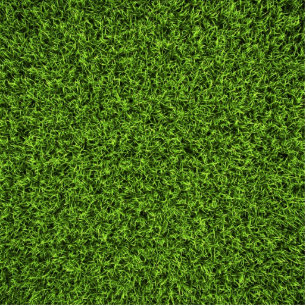 Photo Sculpture Arrière - plan d'herbe