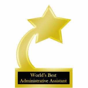 Photo Sculpture Assistant administratif, trophée Gold Star