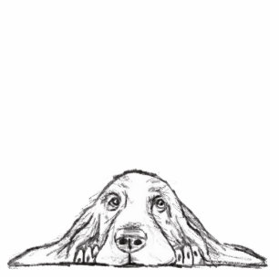 Photo Sculpture basset blanc