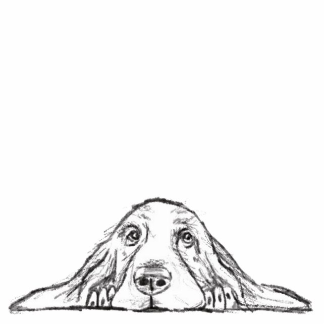 Photo Sculpture basset blanc (Devant)