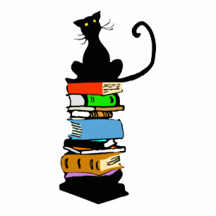 Photo Sculpture Bibliothèque