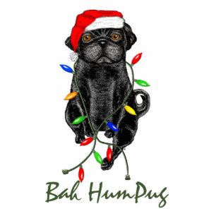 Photo Sculpture Black Carlin Chien Bah Humpug Funny Noël