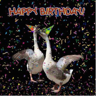Photo Sculpture Bonne Oie d'anniversaire