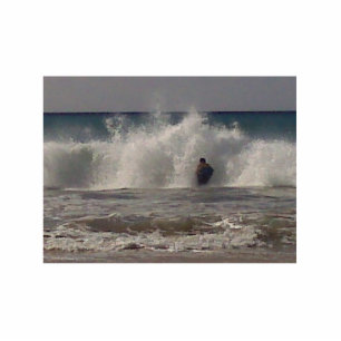 Photo Sculpture Boogie embarquant Mauna Kea