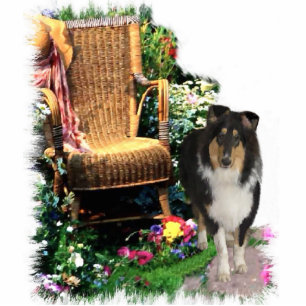 Photo Sculpture Cadeaux d'art Collie Tri-Color