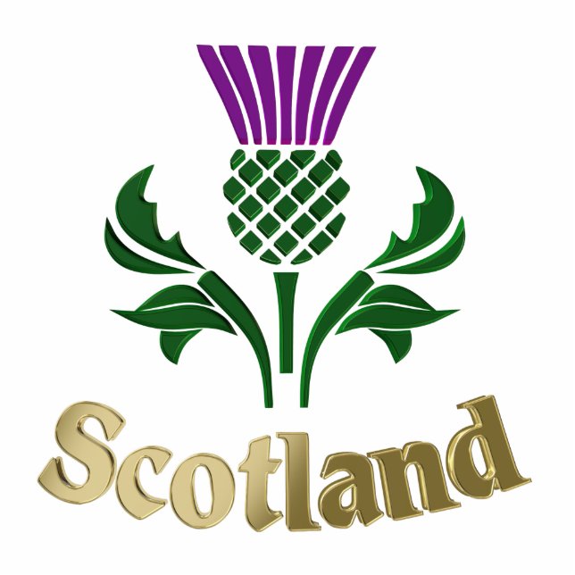 Photo Sculpture Chardon d'emblème écossais (Devant)