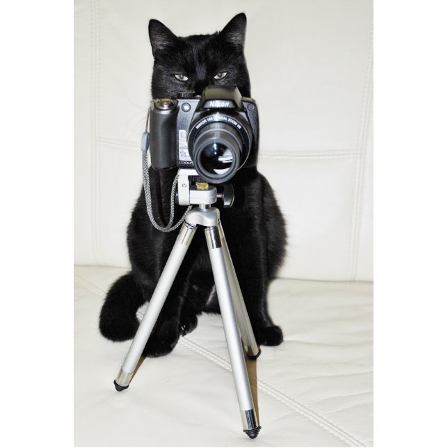 Photo Sculpture Chat avec caméra - Fotoskulptur (Devant)