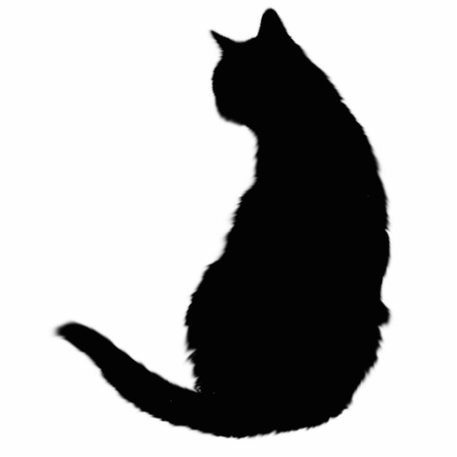 Photo Sculpture Chat noir (Devant)