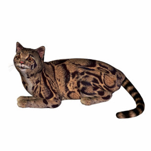 Photo Sculpture chat sauvage