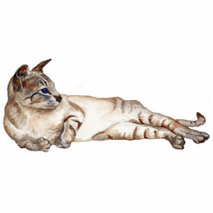 Photo Sculpture chats allongés (tabby point chat siamois) sculptur