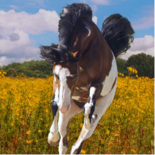 Photo Sculpture Cheval de peinture à galop, sculpture photo
