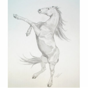 Photo Sculpture Cheval d'élevage, Sculpture acrylique