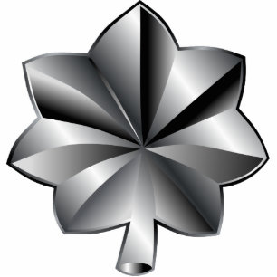 Photo Sculpture Classement militaire des États-Unis - Lieutenant-c