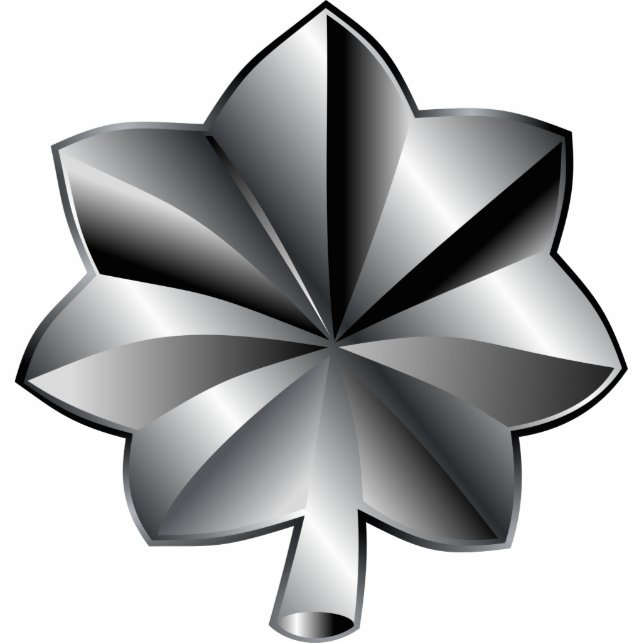 Photo Sculpture Classement militaire des États-Unis - Lieutenant-c (Devant)