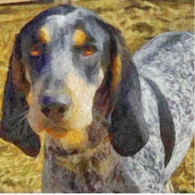 Photo Sculpture Coonhound de Bluetick (Devant)
