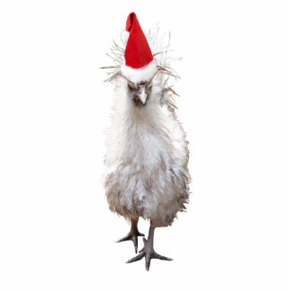 Photo Sculpture Cranky Silkie Bantam Poulet Noël du Père Noël